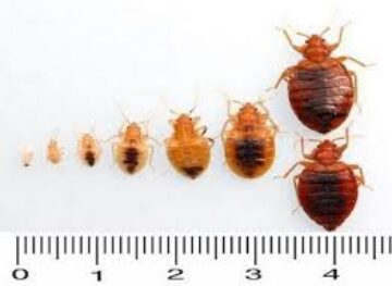 Без названия